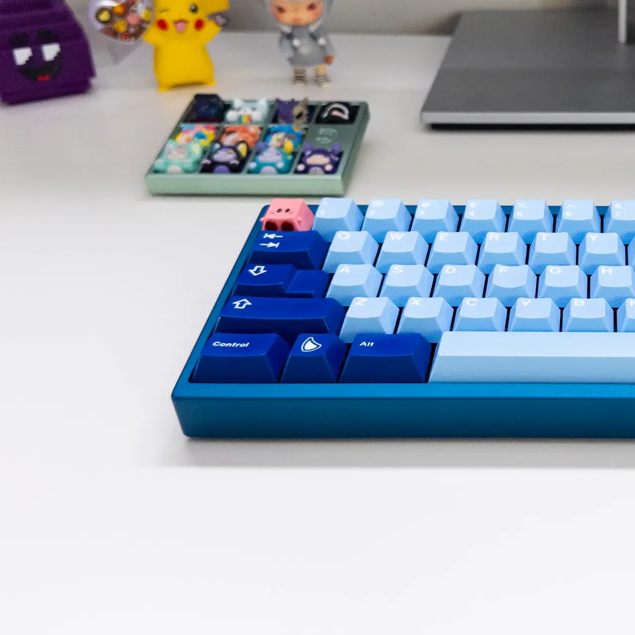 TGR x Singa Unikorn 1