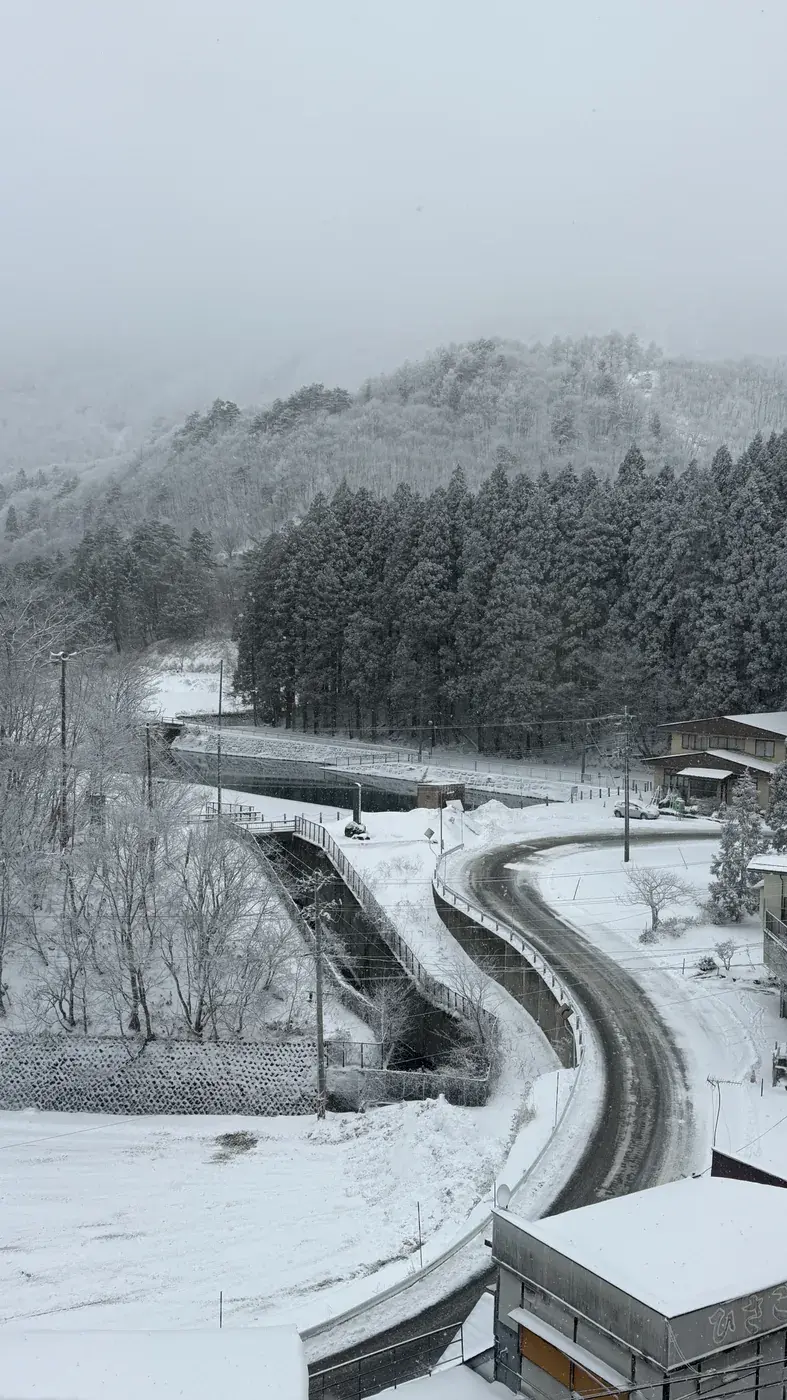 A winding road through snowy hills and forest