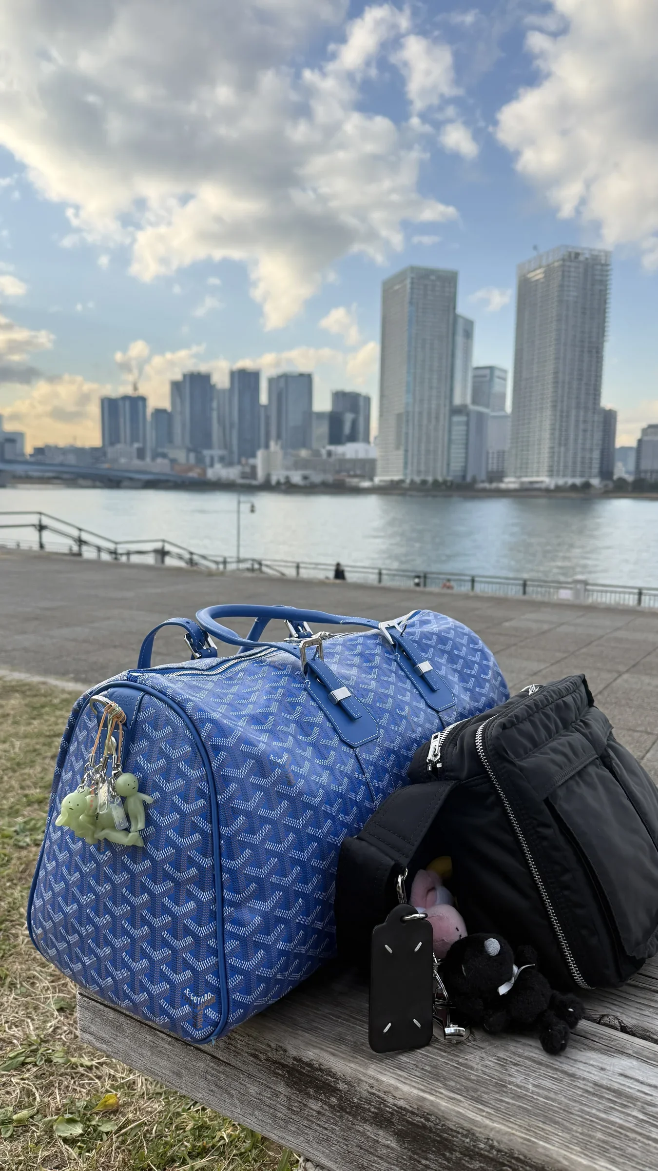 Travel bags beside the water with a city skyline in the distance